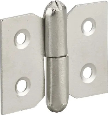 Image de Paumelle de porte de meuble / porte légère, 30x40mm, acier, droite - THIRARD