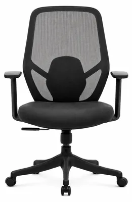 Produktbild von Ergonomischer Bürostuhl mit Mesh-Rückenlehne, verstellbaren Armlehnen