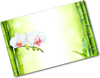 Produktbild von Tulup Glas Herdabdeckplatte - 80x52 cm - Glaskeramikkochfeld-Abdeckung Spritzschutz Glasabdeckplatte - Einteilig - Blumen & Pflanzen - Orchidee und Bambus - Grün