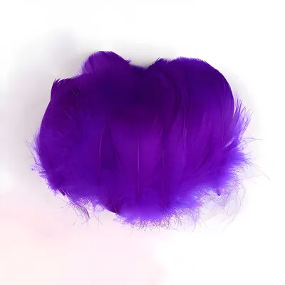 Produktbild von Federn Gänsefedern, ca. 7-12 cm, 5 Gramm, Violett