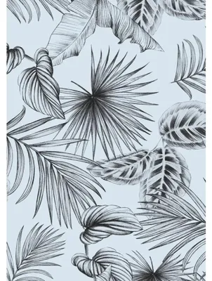 Zdjęcie produktu dla Folio Witrostatik 45X150 Cm D-C-Fix Kolory