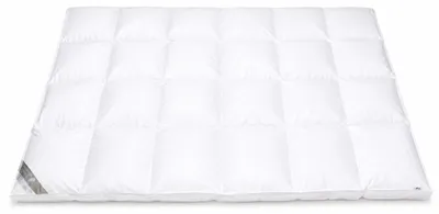 Produktbild von Betten Hofmann Premium 8cm Winter Hochsteg Daunendecke 4x6 Außensteg 155x220 cm