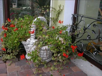 Image de Figurine Bacs à fleurs Plantation Bacs de décoration Figurine Pots de fleurs Jardin Vases 576