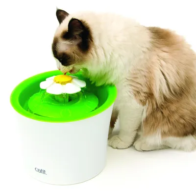 Productafbeelding van Cat It CA 2.0 Flower Fountain 3L
