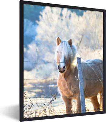 Produktbild von MuchoWow® Gerahmtes Poster Pferd - Winter - Schnee 60x80 cm - Poster mit Schwarzem Bilderrahmen Wandposter Rahmen Foto Bilder - Premium - Wanddeko Wohnzimmer