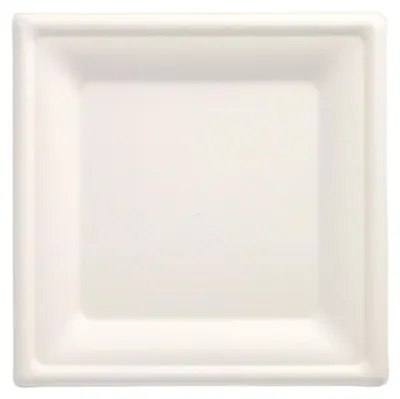 Produktbild von 100 Teller, Zuckerrohr "pure" eckig 20 cm x 20 cm weiss