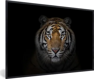 Produktbild von MuchoWow® Gerahmtes Poster Tiger - Wildtiere - Porträt - Schwarz - Tiere 90x60 cm - Poster mit Schwarzem Bilderrahmen Wandposter Rahmen Foto Bilder - Fotorahmen - Foto-Plakat