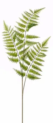 Produktbild von Kunstliche Pflanze - Baumfarn - Zweig - 85 cm - grun - Plastikdekoration