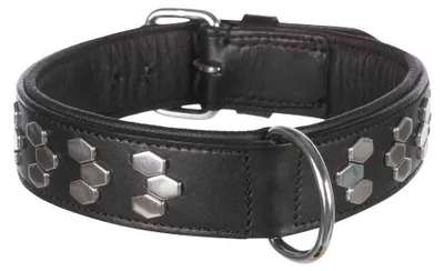 Produktbild von TRIXIE Active Halsband mit Applikationen, Hund, Schwarz, Silber, Leder, Einfarbig, Extragroß, 65 cm