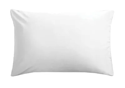 Immagine prodotto di Cuscino Peach 70x90 cm