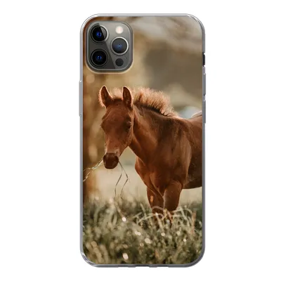 Produktbild von MuchoWow® Handyhülle Schutzhülle Hülle für iPhone 12 Pro Max Pferd - Licht - Wiese Silikon Softcase Handy Hülle - Hartschale