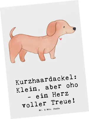 Produktbild von Mr. & Mrs. Panda Ansichtskarte Kurzhaardackel Herz - Weiß - Geschenk, wahre Freundschaft, Ansichtskarten, Postkarten, Hunderassen, Kunstkarten, Fotokarte, Hunderasse