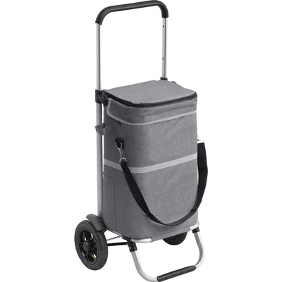 Produktbild von Meister Einkaufstrolley Premium Grau, 45 L Klappbarer Einkaufsroller mit Luftreifen