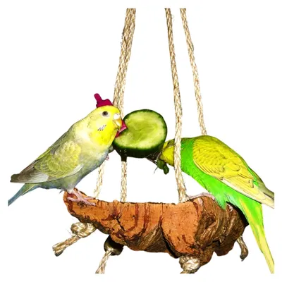 Produktbild von Korkschaukel M, Vogelschaukel, Sitzbrett und Pickstein