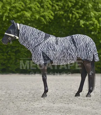 Produktbild von Waldhausen Ekzemdecke Zebra Pferdedecke 145 cm