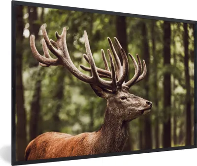 Produktbild von MuchoWow® Gerahmtes Poster Hirsch - Natur - Geweih - Wald - Tiere 60x40 cm - Poster mit Schwarzem Bilderrahmen Wandposter Rahmen Foto Bilder - Printing - Wanddeko Schlafzimmer