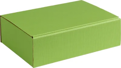 Produktbild von Geschenkbox aus offener Wellpappe, Geripptes Karton HELLGRÜN, Format 25,5x18x7cm, 50 St.