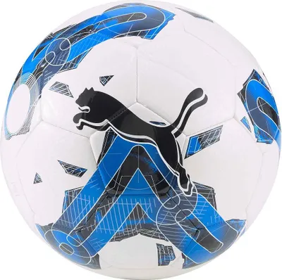 Image de Puma Balls Orbit 6 MS, 08378703