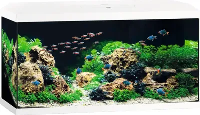 Produktbild von Aquarium JUWEL Primo 110 LED 2.0 inkl. Abdeckung, Bioflow Super Filter, Eccoflow Pumpe, AquaHeat Pro, NovoLux LED ca. 81