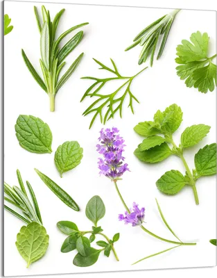 Produktbild von Herdabdeckplatte 40x52 Glaskeramikkochfeld Abdeckung Spritzschutz Glasplatte Deko Schneidebrett, Gewürze Grün