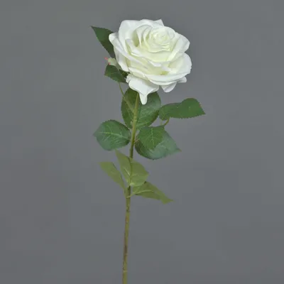 Produktbild von artplants.de Kunstrose Kailin, weiß, 65 cm - Künstlicher Blumenzweig