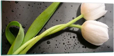 Produktbild von Bilder auf glas - Tulpen Blume Pflanzung Pflanze - 120x50cm - Glasbilder - Wandbilder - Kunstdruck - zum Aufhängen bereit - Wanddekoration aus Glas - Glas Bilder - Wandbild auf Glas - GAB120x50-2301