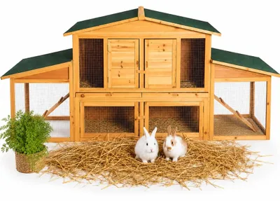 Image de Mucola Cage à lapins Enclos extérieur XXL Clapier en bois pour petits animaux