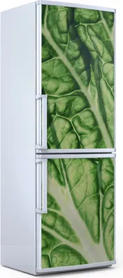 Produktbild von Magnete Dekorative - 60 cm x 180 cm - Küche Magnetmatte Kühlschrankmagnete - Chinakohl