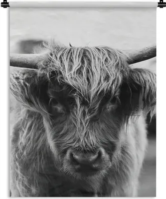 Produktbild von MuchoWow® Wandteppich Wandbehang Schottischer Highlander - Kuh - Gras - Tiere - Natur 150x200 cm Tapisserie Dekoration Wandtuch - Wandaufhängung - Moderner