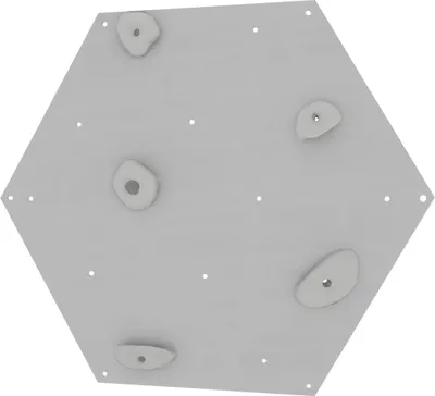 A hexagonal climbing wall panel with several climbing holds attached.