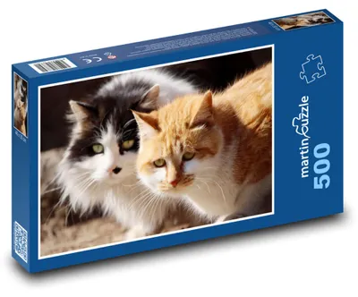 Obrázok produktu pre Puzzle 500 Roztomilé mačky v prírode - martinpuzzle