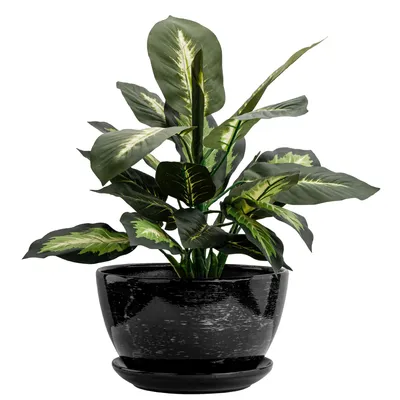 Produktbild von Blumentopf Blumenübertopf Untersetzer Rund D 29,5cm H 18cm Schwarz Glaziert Modern Innenräume Glamour Schüssel Vase Wasserablauf