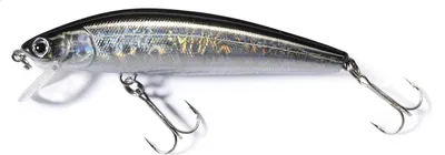Zdjęcie produktu dla Abu Garcia Tormentor Floating 70mm 9g H-BB