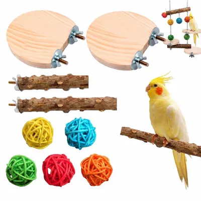 Immagine prodotto di Set di posatoi naturali per uccelli, accessori per gabbie, giocattoli e area giochi per parrocchetti e canarini