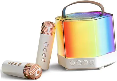 Obrázok produktu pre Prenosný mini karaoke systém s mikrofónom a reproduktorom na cvičenie, oslavy a porady