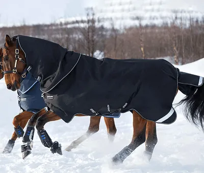 Obrázok produktu pre Horseware Ireland Outdoordecke 250g Amigo Super Bravo Plus Black/White 140 (6'3)
