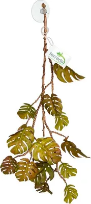 Obrázek produktu pro Terrario – Umělá Rostlina do Terária – Visící Monstera 70 cm Terrario