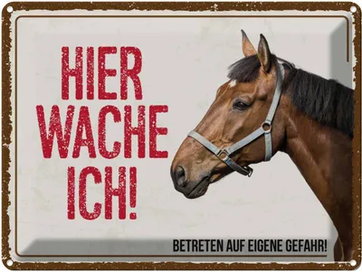 Produktbild von vianmo Blechschild 30x40 cm Pferd hier wache ich eigene Gefahr Tier Haustier