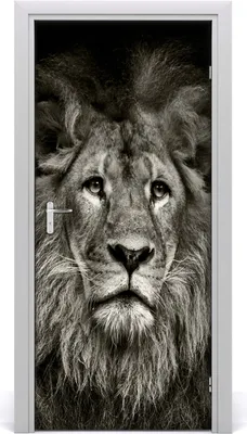 Produktbild von Tulup Türaufkleber 95x205 cm Dekorative Aufkleber Selbstklebend Wasserdichte Tapete Abnehmbar Schlafzimmer Wohnzimmer Wohnkultur - Lion Wand