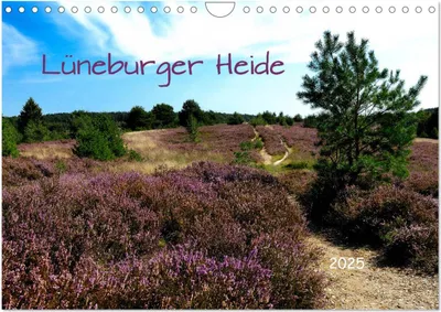 Produktbild von Lüneburger Heide (Wandkalender 2025 DIN A4 quer), CALVENDO Monatskalender