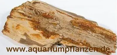 Produktbild von ca. 5 kg versteinertes Holz, Deko, Aquarium