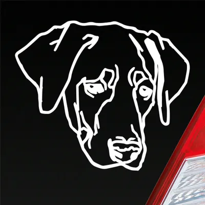 Produktbild von Auto Aufkleber Labrador Labi Labbi Hund Dog 12x10 cm Weiss Glanz Sticker Heckscheibenaufkleber