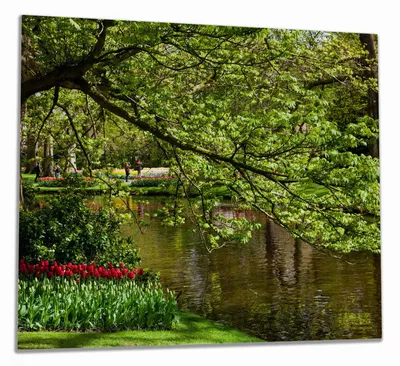 Produktbild von Wallario Herdabdeckplatte aus Glas, Größe 60 x 52 cm 1-teilig, Motiv Bunte Blumen im Park am Wasser - Frühblüher am Ufer