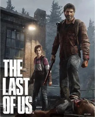 Produktbild von Pyramid The Last Of Us Poster 3d-poster Braun Braun One Size