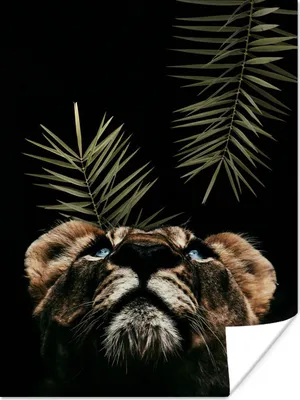 Produktbild von MuchoWow® Poster Tiger - Porträt - Pflanzen 60x80 cm - Schlafzimmer Dekoration