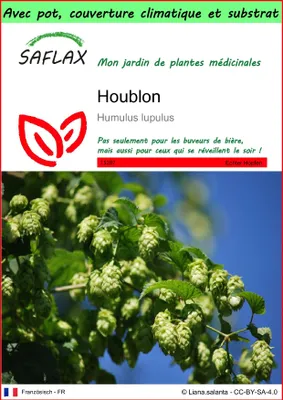 Image de SAFLAX Garden to go - Houblon - 50 graines - Humulus