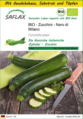 Produktbild von SAFLAX Anzucht Set - BIO - Zucchini - Nero di Milano - Cucurbita pepo - 6 Samen - Mit Mini-Gewächshaus, Anzuchtsubstrat und 2 Töpfen