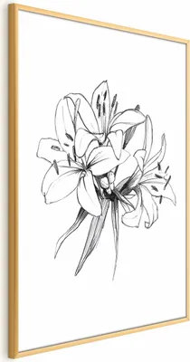 Produktbild von Posterpapier Poster - Drawn Flowers 21x30 cm Blumen b-A-0404-ao-a