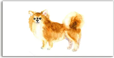 Produktbild von Coloray Glasbild 140x70  Wandbild Glasbilder Foto Kunstdruck groß Malerei Hund Tier