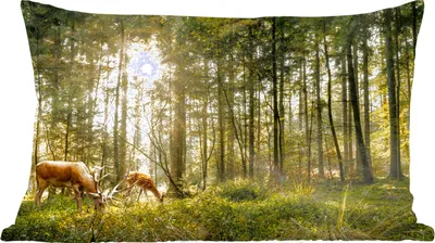 Produktbild von MuchoWow® Zierkissen Sofakissen Wohnzimmer Dekokissen 50x30 cm Hirsche - Natur - Wald - Wohnzimmerdekoration - Polster mit Photo
